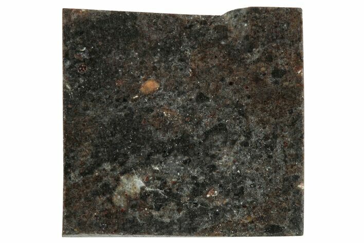 Lunar Meteorite Slice ( g) - NWA #283604